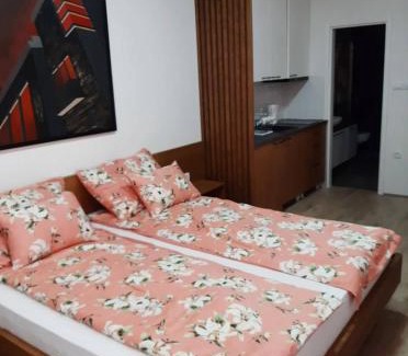 Sombor Apartment | Apartment Mašić