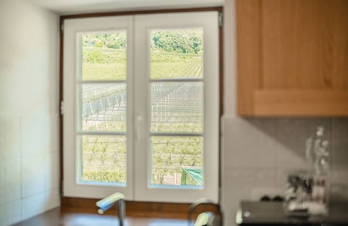 Laives Apartment | Apartment 'Maso Renner Quadrilocale Torre' with Mountain View, Shared Garden and Wi-Fi