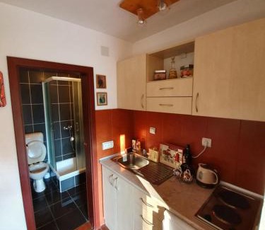 Zlatibor Apartment | Apartment Matija