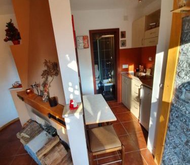 Zlatibor Apartment | Apartment Matija