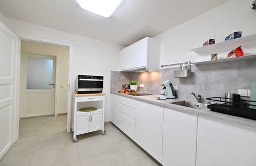 Oppenau Apartment | Apartment 'Mikro Höflewald' with Wi-Fi