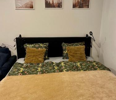 Stare Buky Apartment | Apartment NAVI- Modern studio in Krkonoše foothills