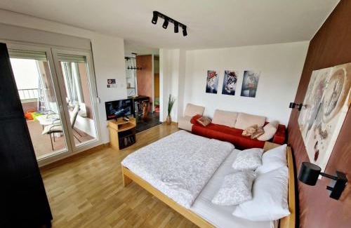 Zemun Apartment | Apartment Nena