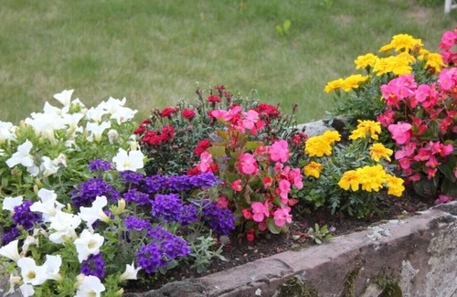 Guebwiller Apartment | Apartment nº 68500 Guebwiller