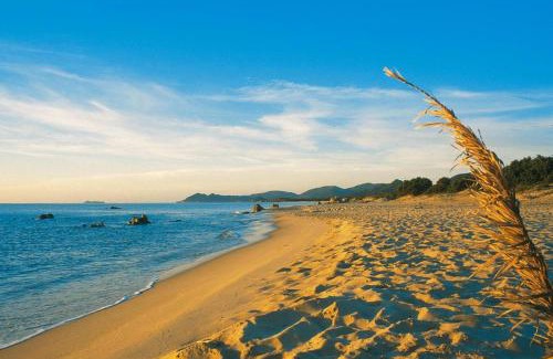 Costa Rei Apartment | Apartment on Costa Rei near Sandy Beach