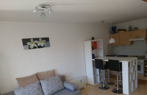 Bischofsmais Apartment | Apartment on the Geiskopf, balcony, fireplace, on the forest