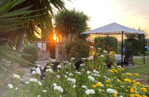 Son Macia Apartment | Apartment Petit Adults Only - East Mallorca