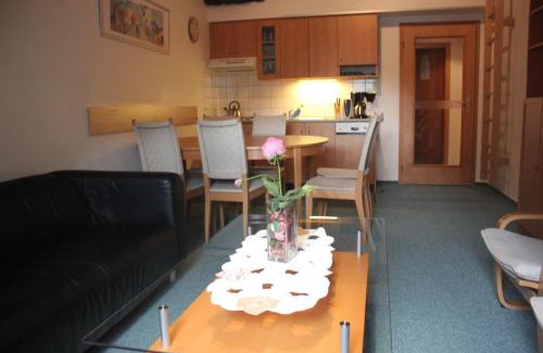 Pec pod Snezkou Apartment | Apartment Poustevník