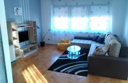 Vrdnik Apartment | Apartment Premija