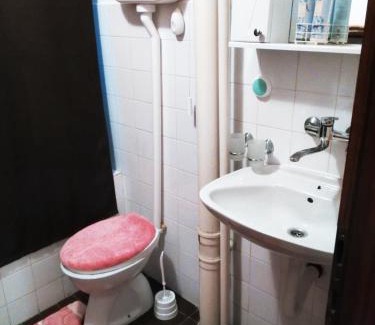 Vrdnik Apartment | Apartment Premija