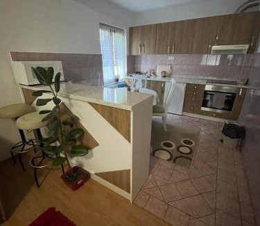 Ilidza Apartment | Apartment Rea Ilidža