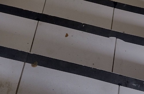 Valentina Figueiredo Apartment | Apartment rent