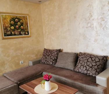 Kladovo Apartment | Apartment Ruža