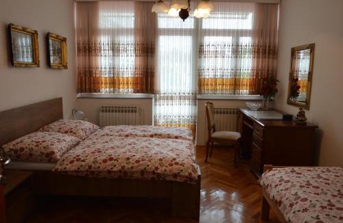Mali Radic Apartment | Apartment Sarah
