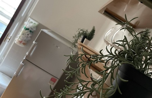 Loreto Apartment | apartment situated near to the central station and the main subway of Milano.