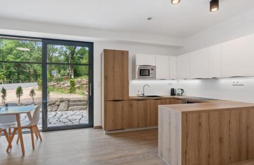 Bedrichov Apartment | Apartment U Buku-4 by Interhome