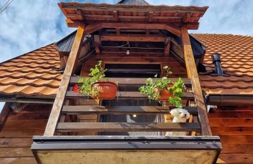 Konjska Reka Apartment | Apartment Vila Fila