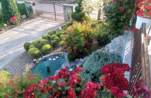 Vrdnik Apartment | Apartment Vila MM Srce