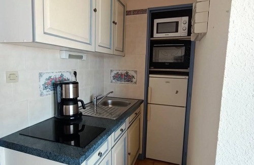Saint-Pierre-la-Mer Apartment | Apartment with collective swimming pool 5LHSP138