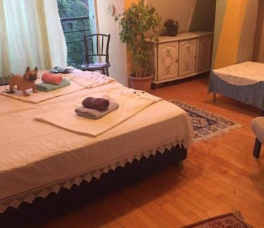 Centar Apartment | Apartment with a view