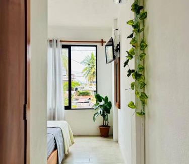 Bahia de la Academia Apartment | Apartment with balcony and access to terrace