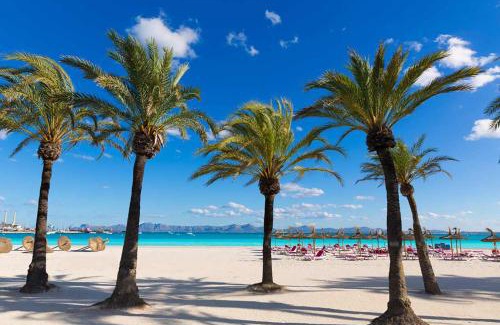 Alcudia Apartment | Apartment Xara Torres, at the Beach of Alcudia