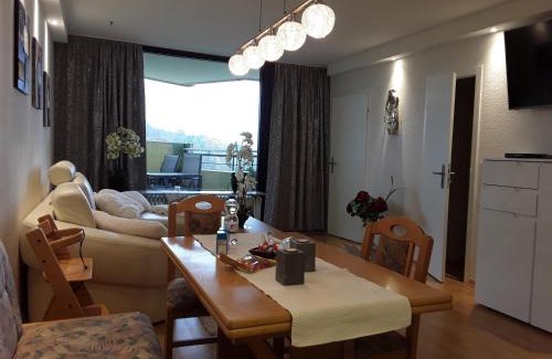 Hohegeiß Apartment | Apartmenthotel Hohegeiß Kasing MIT FREIEM WLAN und Schwimmbad