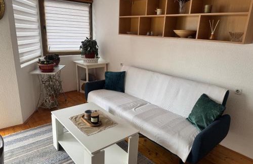 Mali Radic Apartment | Apartments Aida