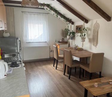 Mali Radic Apartment | Apartments Aida
