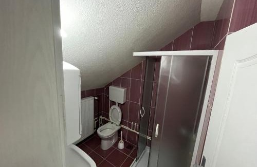 Kopaonik House | Apartments and Rooms Vicko