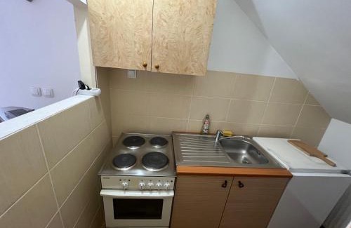 Kopaonik House | Apartments and Rooms Vicko