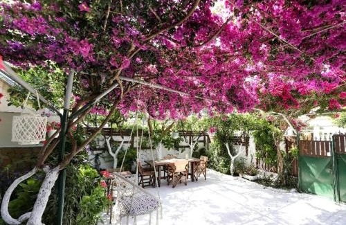 Orikum Apartment | Apartments Athina Orikum