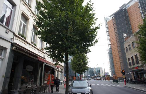 European Quarter Apartment | Apartments Berlaymont OHY