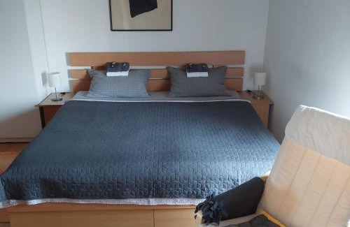 Vrnjacka Banja Apartment | Apartments Bikica