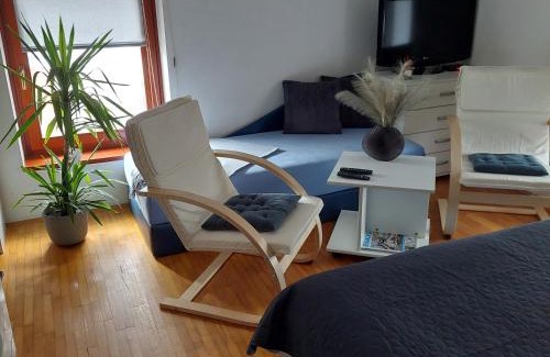 Vrnjacka Banja Apartment | Apartments Bikica