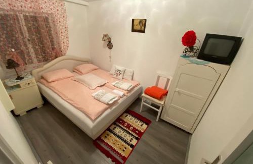 Vrdnik Apartment | Apartments Borove Noci