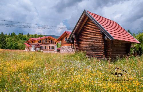 Vorokhta Apartment | Apartments Chalet Girska Hatyna