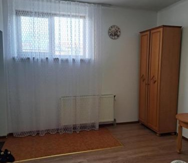 Mukachevo Apartment | Apartments Domovik Beljaeva,5а