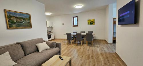 Dvor Apartment | Apartments Dvor by the Krka river