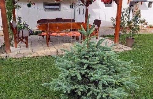 Vojvodina Apartment | Apartments Iles