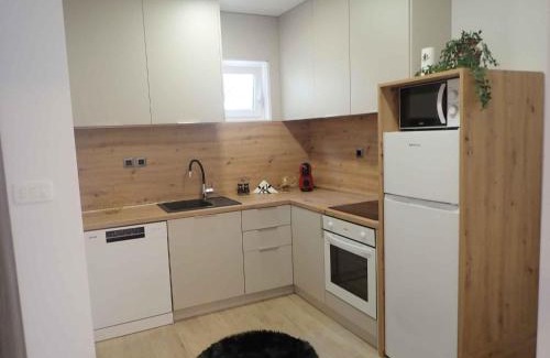 Susica Apartment | Apartments in Baric Draga 40878