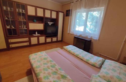 Siofok Apartment | Apartments in Siofok - Balaton 45812
