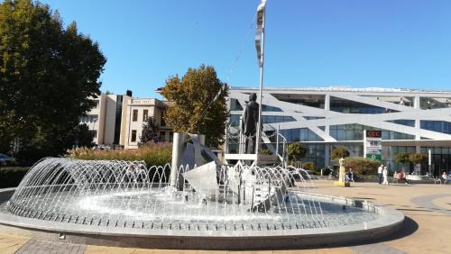 Siofok Apartment | Apartments in Siofok - Balaton 35514