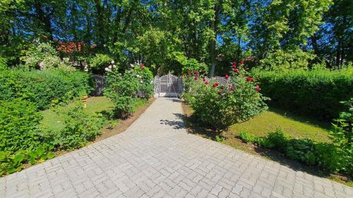 Siofok Aranypart Apartment | Apartments in Siofok - Balaton 38090