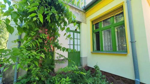 Siofok Aranypart Apartment | Apartments in Siofok - Balaton 38090