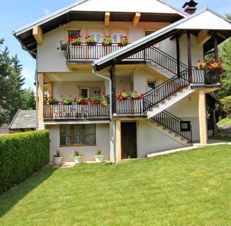 Zlatibor Apartment | Apartments Junior