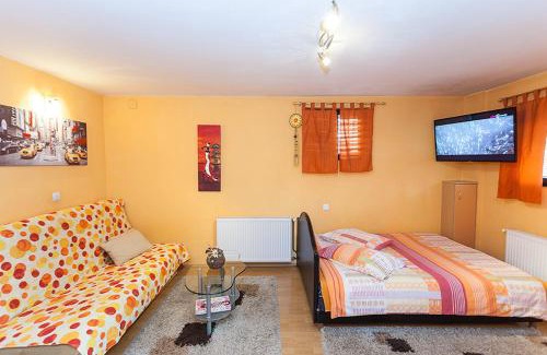 Zlatibor Apartment | Apartments Milena Zlatibor - Dvorište & Parking