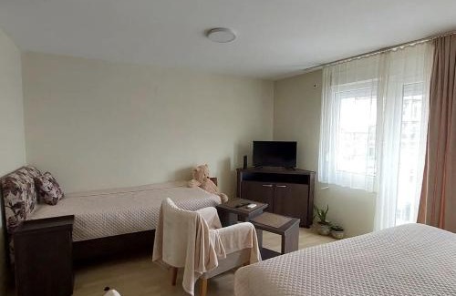 Jagodina Apartment | Apartments MIMOZA
