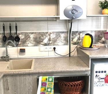Dnipro Apartment | Apartments O.Polya (Kirova) 106