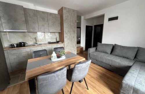Lisina Apartment | Apartments SKY Kopaonik